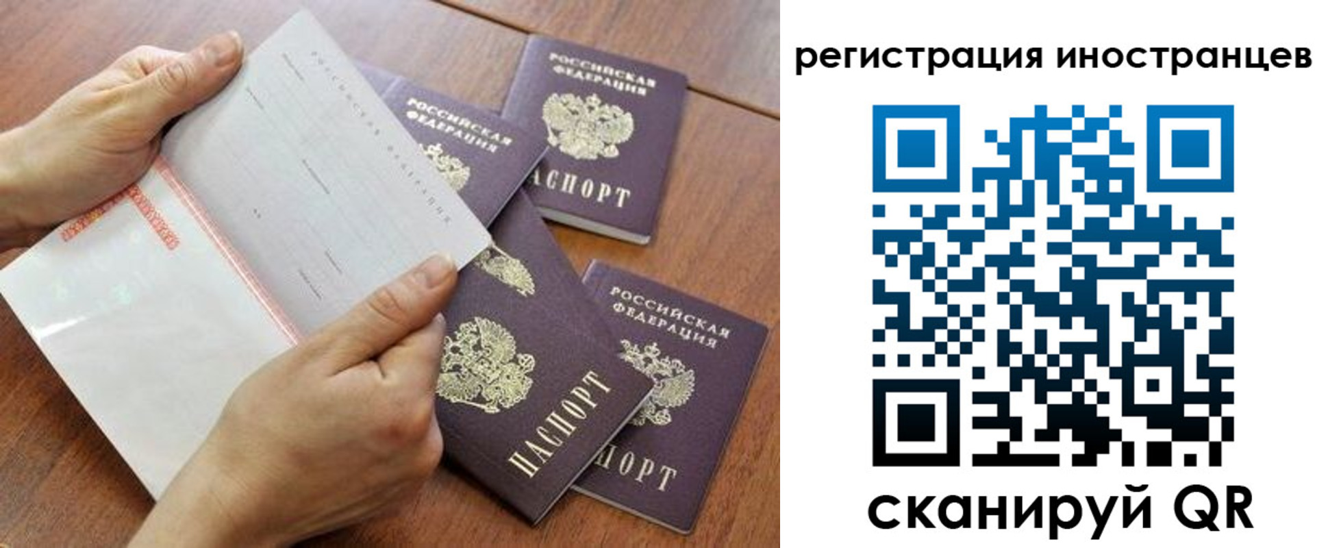 прописка поиск в Сосновоборске